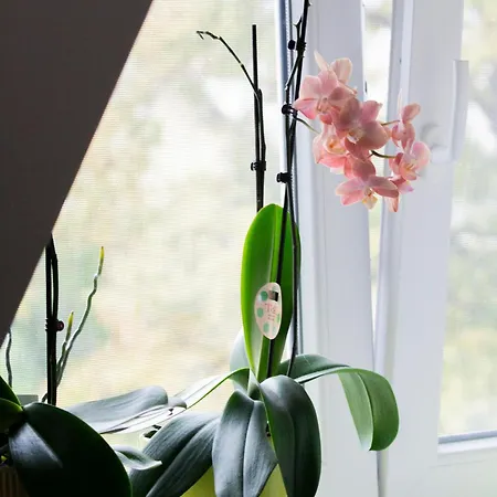 Katyca Apartmán